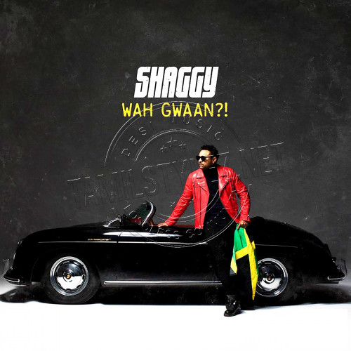 Shaggy – Wah Gwaan (Brooklyn Knights) [2019-DIGITALRip-WAV]