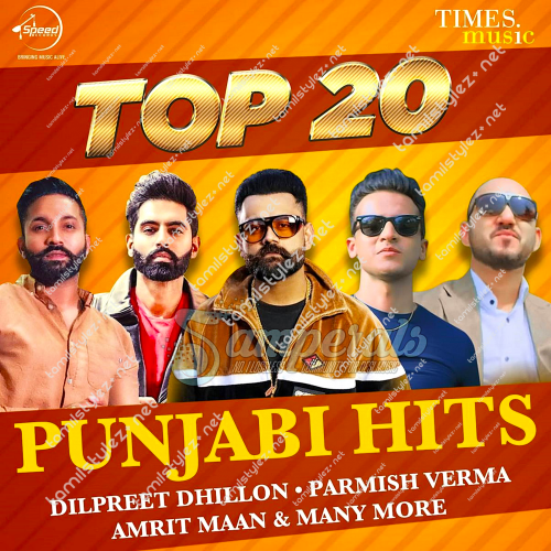 Top 20 Punjabi Hits (Times Music) [2020-DIGITALRip-WAV]