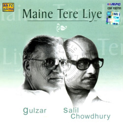 Maine Tere Liye Hindi Audio CD Rip Lossless FLAC/WAV Songs
