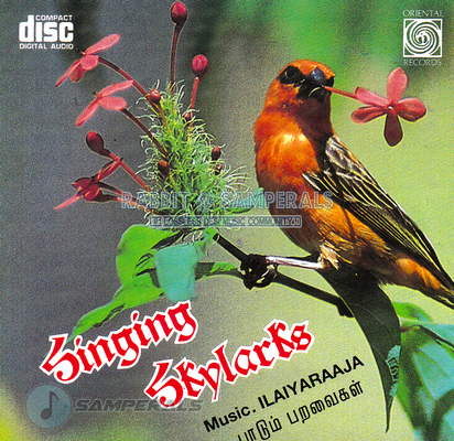 Singing Skylarks (Oriental Records) [ACDRip-WAV]