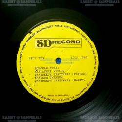 Side-IIdb924fac54e4374e.th.jpg