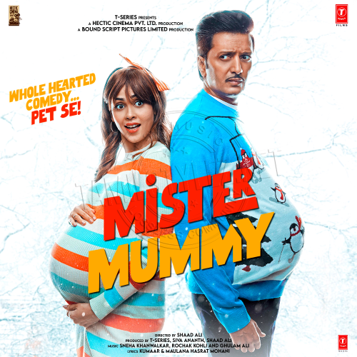 Mister Mummy (T-Series) [2022-DIGITALRip-WAV]